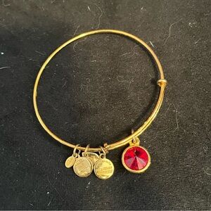 Alex and Ani garnet bracelet